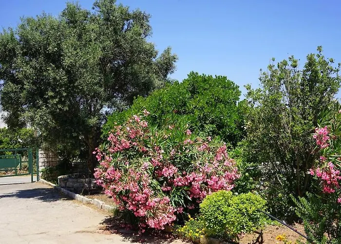 The Baker's Delight Livadi (Kythira)