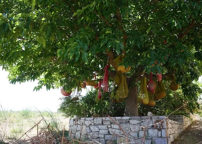 The Baker's Delight * Livadi (Kythira)