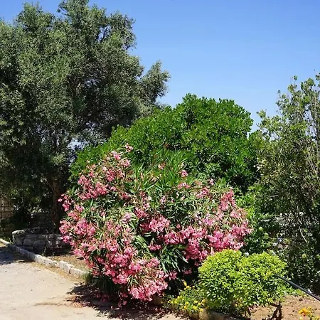 The Baker's Delight Livadi (Kythira)
