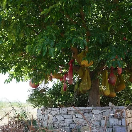 The Baker's Delight * Livadi (Kythira)