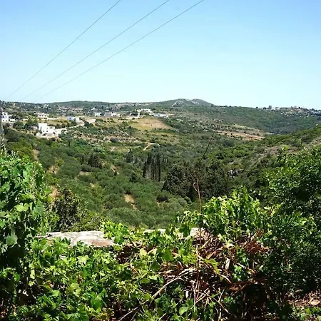 The Baker's Delight Livadi (Kythira)